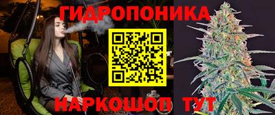 гидропоника Краснокаменск