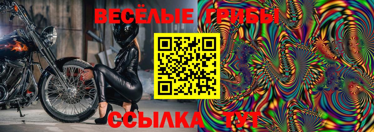 Галлюциногенные грибы Psilocybe Киржач